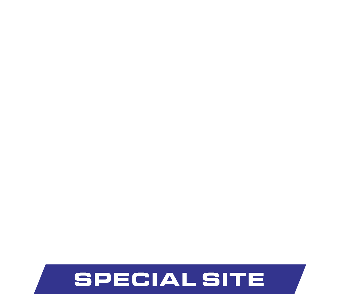 SPECIAL SITE